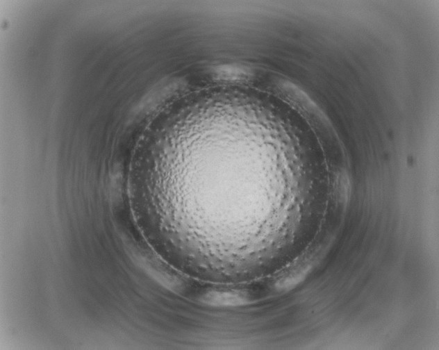 X0000082690557200701261223
