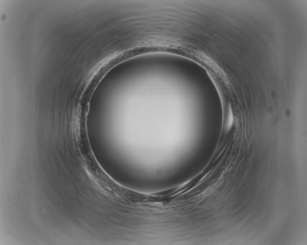 X0000082690580200701261223