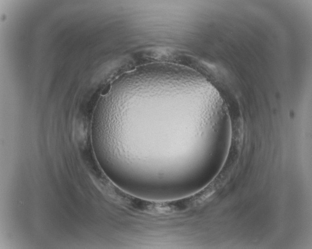 X0000082690607200701261222