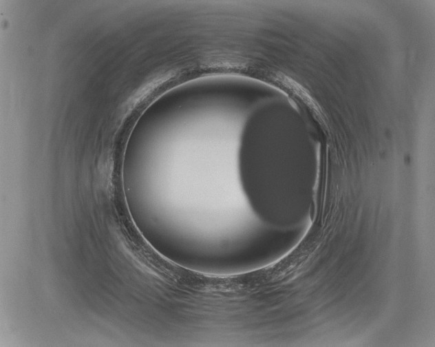 X0000082690627200701261221