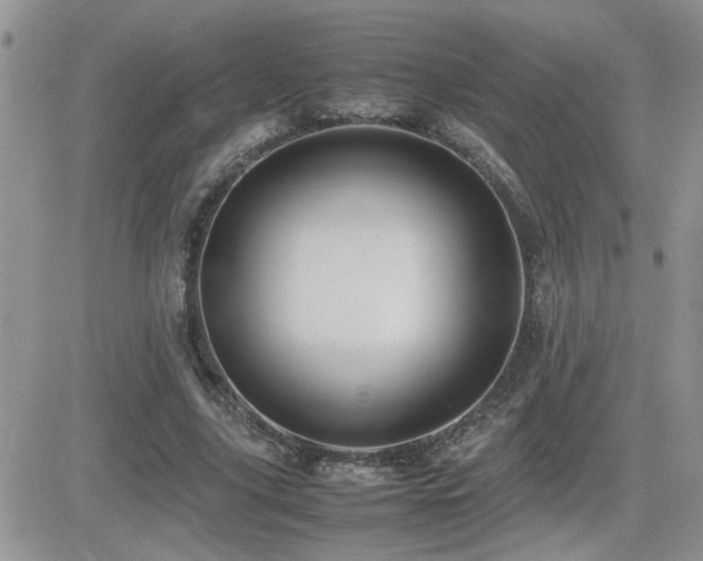X0000082690635200701261221