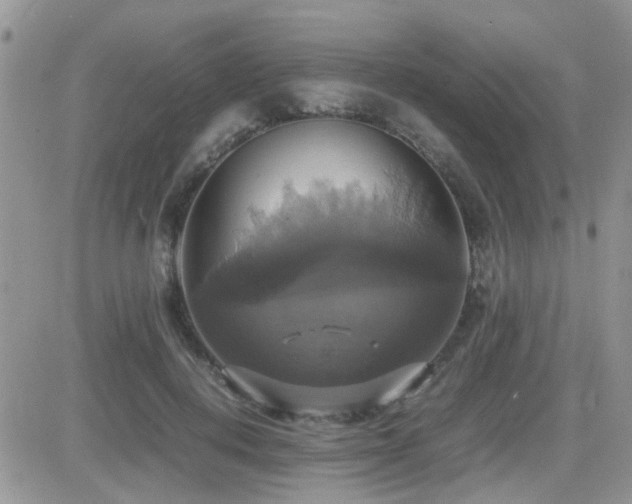 X0000082690648200701261222