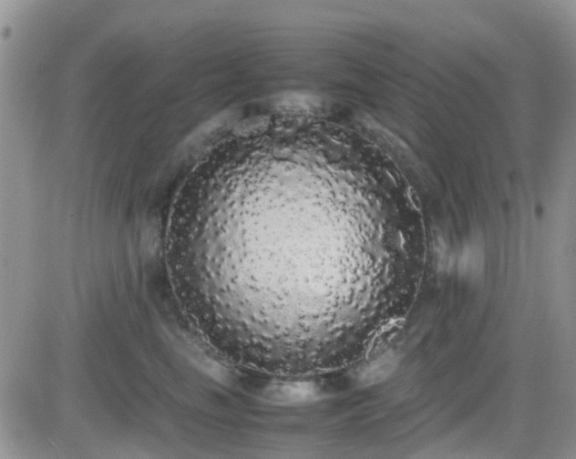 X0000082690665200701261222