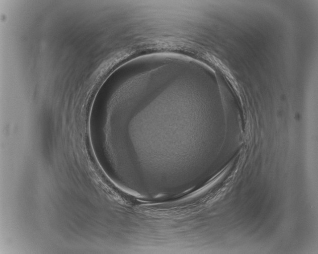 X0000082690673200701261221