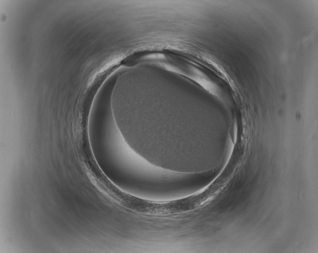 X0000082690677200701261221
