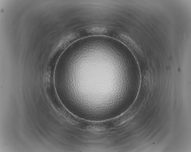 X0000082690739200701261220