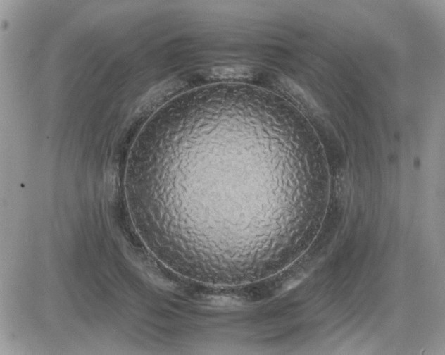 X0000082690741200701261220
