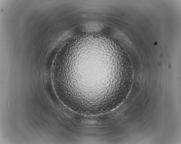 X0000082690743200701261220