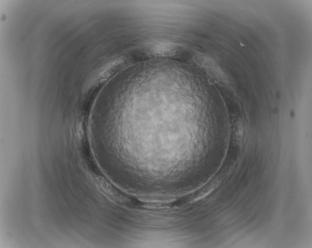 X0000082690746200701261220
