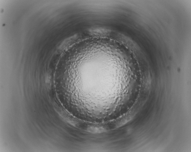 X0000082690749200701261220