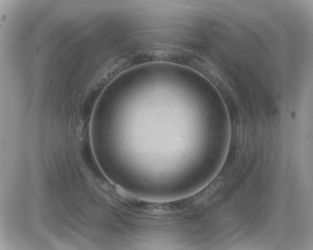 X0000082690750200701261220