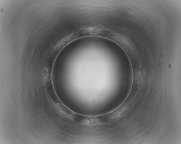 X0000082690752200701261220