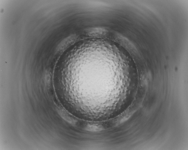 X0000082690753200701261220