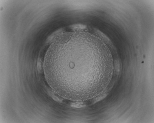 X0000082690761200701261220