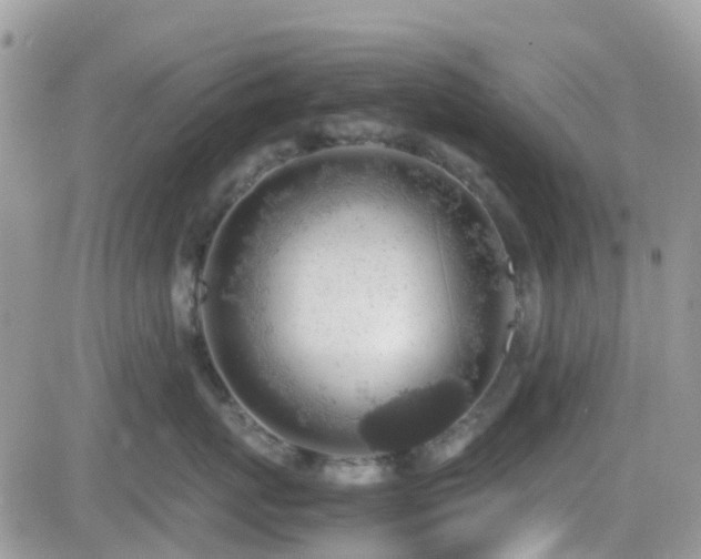 X0000082690767200701261220