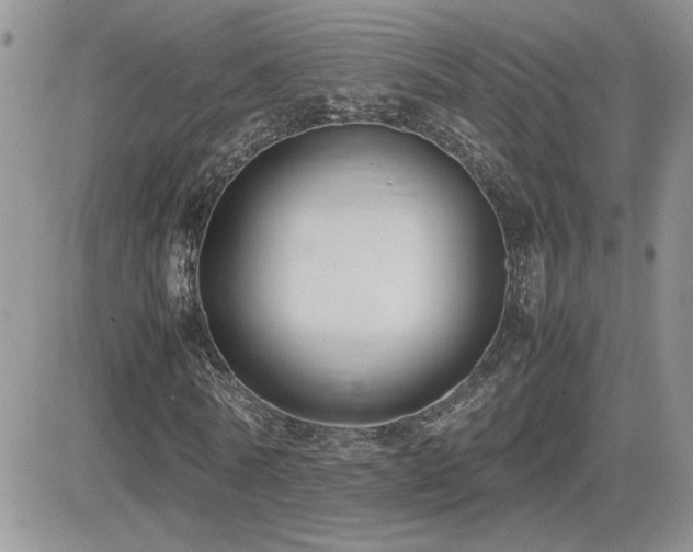 X0000082690770200701261220