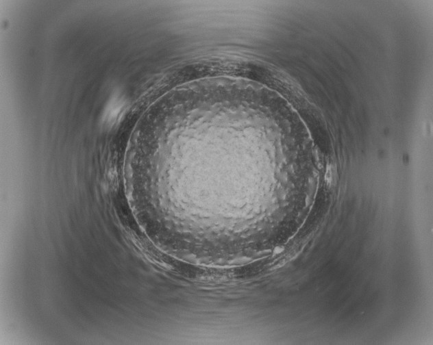 X0000082690771200701261220