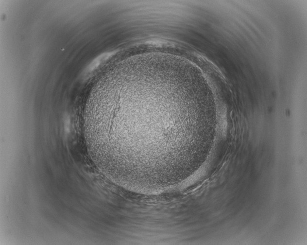 X0000082690776200701261219