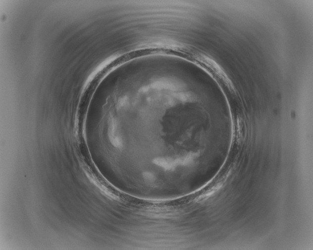 X0000082690780200701261219