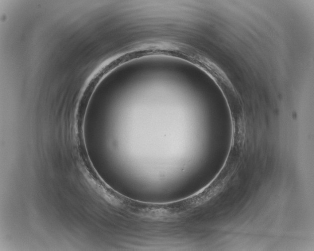 X0000082690784200701261219