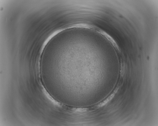 X0000082690808200701261219