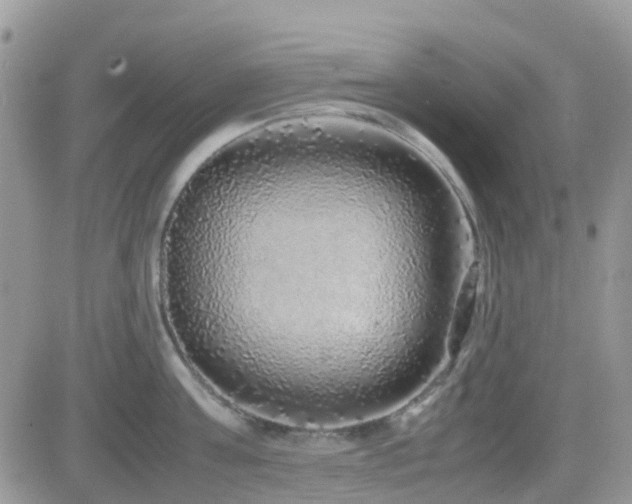 X0000082690811200701261219