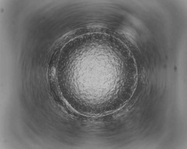 X0000082690821200701261218