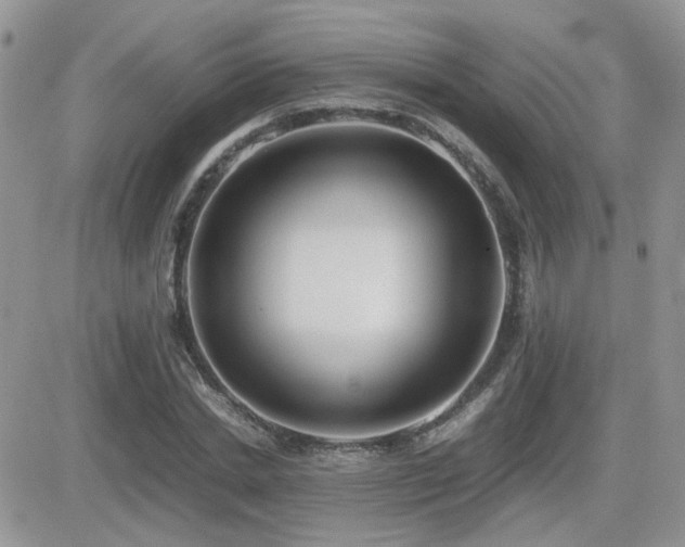X0000082690830200701261218