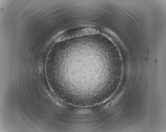X0000082690833200701261218