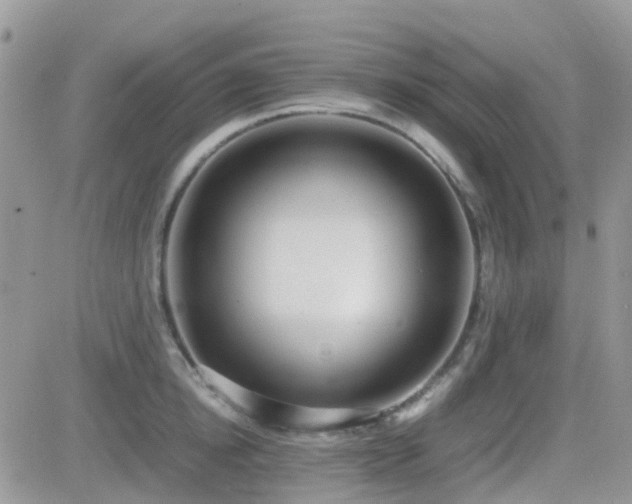 X0000082690854200701261219