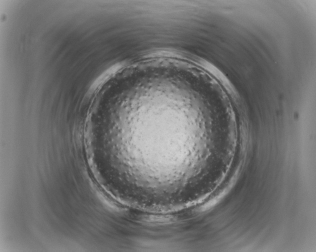 X0000082690857200701261219