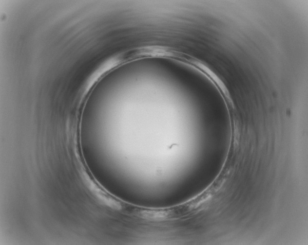 X0000082690861200701261219
