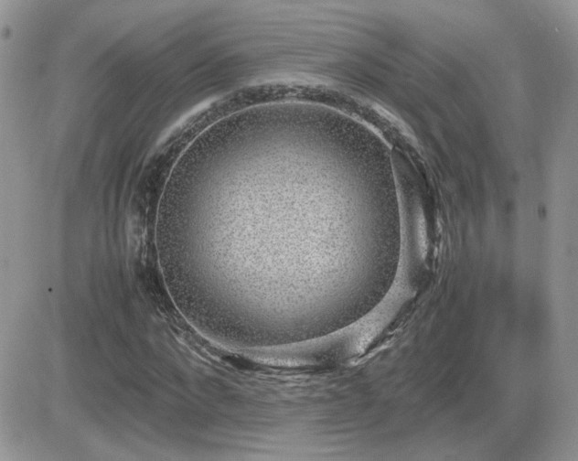 X0000082690872200701261218