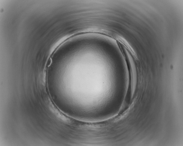 X0000082690900200701261217