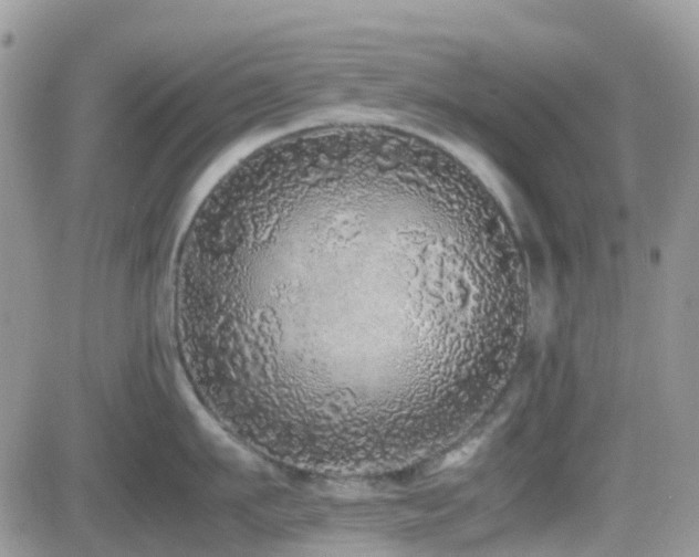X0000082690911200701261217