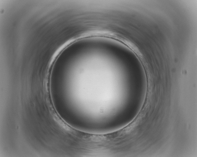 X0000082690912200701261217