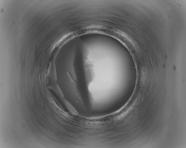 X0000082690921200701261217