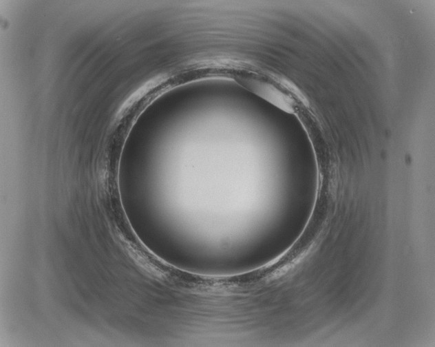 X0000082690922200701261217