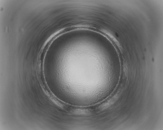 X0000082690933200701261217