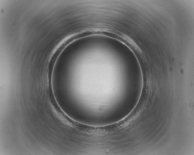 X0000082690934200701261217