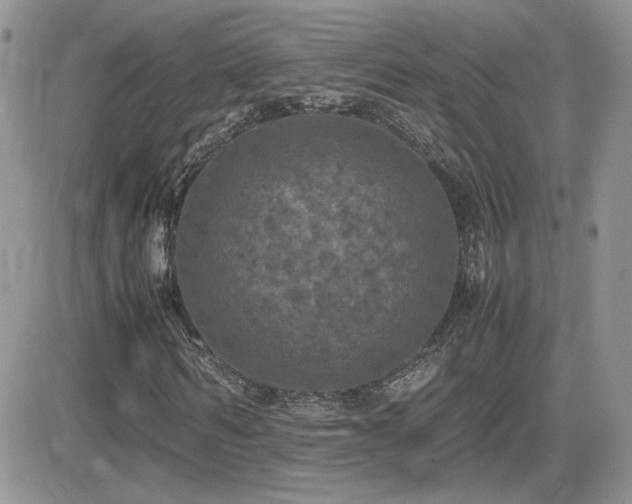 X0000082690962200701261216