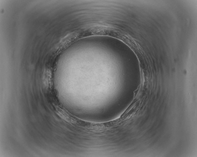 X0000082690964200701261216