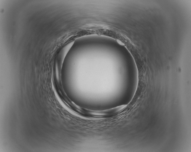 X0000082690965200701261216
