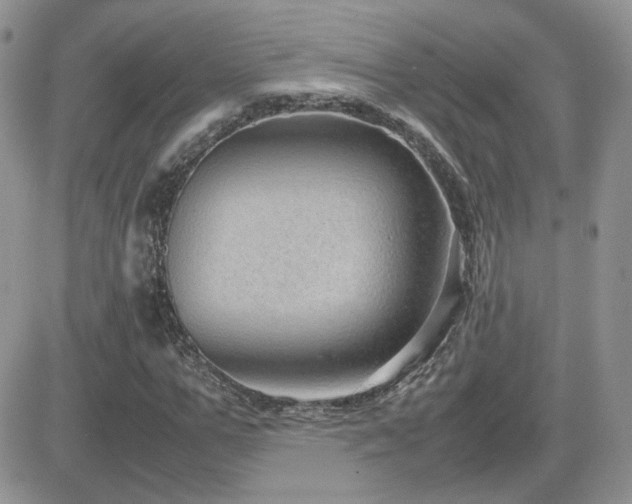 X0000082690967200701261216