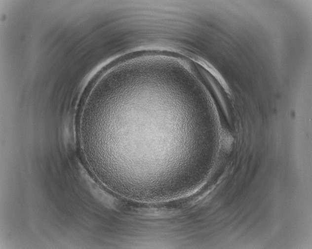 X0000082690980200701261216