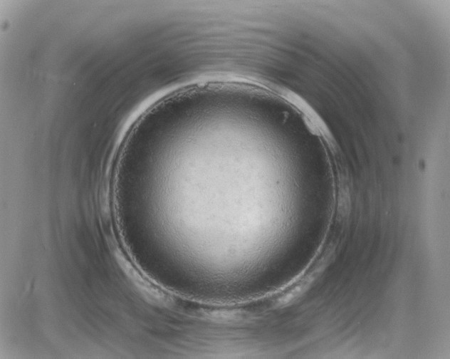 X0000082691004200701261216