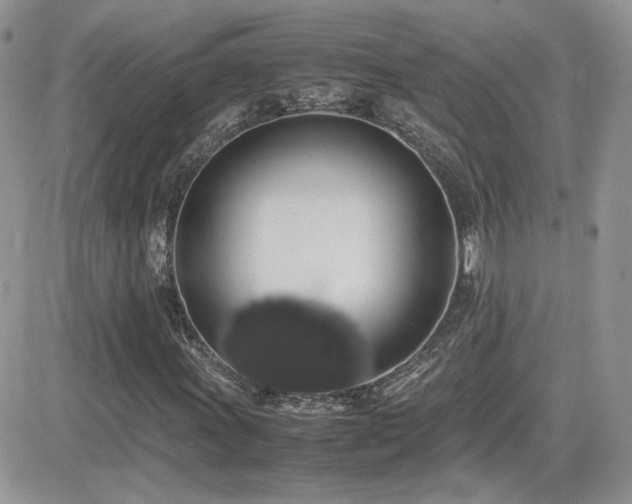 X0000082691011200701261215