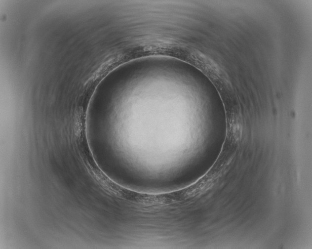 X0000082691012200701261215