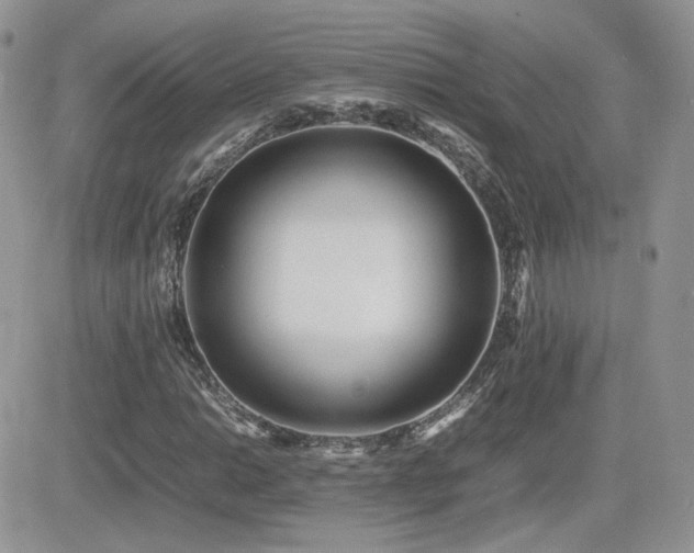X0000082691014200701261215