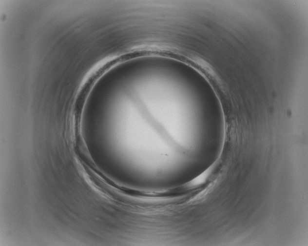 X0000082691030200701261215